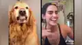 “¡Sonríe, que nadie te apague!”: perro se une a la popular parodia y cautiva con su sonrisa [VIDEO]