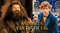 Animales fantásticos 3 podría presentar a Hagrid y personajes originales de Harry Potter
