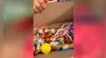 Cuidadores sorprenden por Navidad a perritos que rescataron de la calle