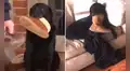 Perro se queda dormido al esperar a su dueña que le prometió ir a pasear [VIDEO]