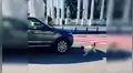 Perro detiene el tránsito para que unos niños crucen la pista [VIDEO]