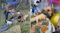 Llevan a perros callejeros a su albergue y les organizan una divertida fiesta de bienvenida [VIDEO]