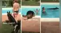 Joven graba las tiernas reacciones de su perro antes de saltar a la piscina