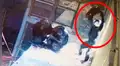 Cámara de seguridad capta tierno momento de mamá chimpancé junto a su cría [VIDEO] 