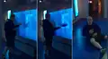 YouTube: quiso llamar la atención de un ‘tiburón’ y se llevó el susto de su vida [VIDEO]
