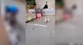 Perro callejero malogra el trabajo de albañil y este tiene inesperada reacción [VIDEO]