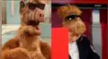Usuarios afirman que ALF se coló en sesión de partido político español [FOTOS]