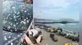 Costa Verde: proponen idea para evitar que aves marinas continúen lanzando desechos a bañistas y autos  