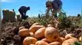 ¿Sabes cuánto gana un trabajador agrícola en Perú?