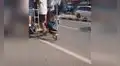 Captan a perro callejero persiguiendo un autobús para poder subirse y dar un paseo [VIDEO]