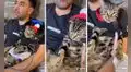 Gatito gamer: ‘juega’ videojuegos con su dueño y reniega si lo separan de él