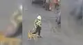 Policía peruano detiene el tránsito para ayudar a perros callejeros que no podían cruzar peligrosa calle [VIDEO]