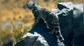 20 Animales en peligro de extinción y extintos en Perú 2019 [FOTOS]