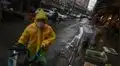 Mercados húmedos de Asia aún venden murciélagos y monos  en medio de la pandemia