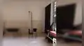 Colocan cámara para saber lo que hace su gato cuando salen de casa y se llevan una tierna sorpresa [VIDEO] 