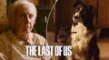 “The last of us”: ¿qué le pasó al perro Mercy y cuál fue su cruel destino en el videojuego?