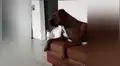 Facebook viral: perro escucha sirena de bomberos, intenta imitarla y resultado genera risas en las redes [VIDEO] 