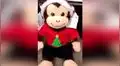 Facebook: una mamá grabó su voz en un peluche para conmovedor gesto [VIDEO]