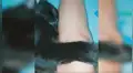 Gato no quiere que su dueña salga a trabajar y se aferra a ella para no dejarla ir [VIDEO]