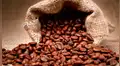 Sector cafetalero sumará su tercer año en pérdidas  