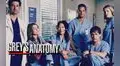 Grey’s Anatomy: las razones detrás de cada renuncia al popular drama médico