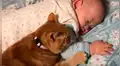 Regresa a su casa y encuentra tierna escena de su bebé con curioso gato [VIDEO]