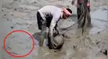 Chico ingresa a misterioso lodo y se topa con miles de criaturas moribundas [VIDEO]