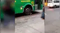 Gato se coloca debajo de la llanta de un bus en movimiento y sucede lo inesperado [VIDEO]