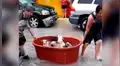 Familia traslada a sus perros en una tina en medio de la inundación causada por el huracán Hanna [VIDEO]