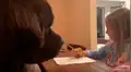 Perro vigila a su pequeña dueña hasta que termine la tarea para ir a jugar con ella [VIDEO]