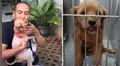 El impactante rescate de un perro que estuvo a punto de morir por desnutrición en las calles [VIDEO]
