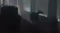 YouTube viral: Chica oye extraños ruidos, llama a policías y descubren misteriosa criatura [VIDEO]