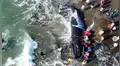 Decenas de personas se unen para rescatar a una enorme ballena jorobada varada en la costa [VIDEO]