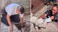 Escucha misteriosos sonidos dentro de alcantarilla, la revisa y encuentra a su perro [VIDEO]