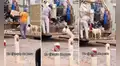 ¡Ejemplo a seguir! Perrito apoya a recolectores y deposita su bolsa con basura en el camión