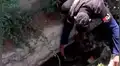 YouTube viral: perrita enferma espera que la muerte se la lleve hasta que un 'ángel' lo cambió todo [VIDEO]