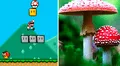 Super Mario Bros: conoce al alucinógeno real que inspiró al hongo del videojuego [FOTOS]