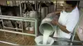 Polémica por proyecto del Congreso sobre la leche