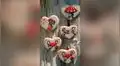 San Valentín: 10 diseños para decorar cupcakes el 14 de febrero 