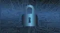 Bug Bounty: Programa que ayuda a reforzar la seguridad cibernética
