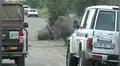 Furioso rinoceronte embiste auto que transportaba a turistas [VIDEO]