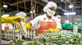 Congreso extiende hasta el 2031 el régimen agrario