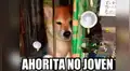 El meme ‘me dijiste que tenías’ revive otras divertidas imágenes en las redes sociales 