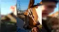 Facebook viral: niño llora de la emoción cuando policía le devuelve su caballo perdido [VIDEO]
