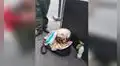 Anciano sale a vender golosinas todos los días y su perro lo acompaña 