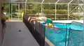 Facebook viral: un padre realizó increíble clavado para salvar a su bebé de ahogarse [VIDEO]