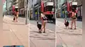 Transeúntes captan a mujer paseando a su gallo mascota como si fuera un perro