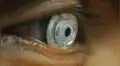 Científicos crean lentes de contacto que hace ‘zoom’ con solo parpadear [FOTOS]