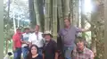 Proyectan potenciar el bambú de alta calidad que tiene Oxapampa
