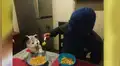 El nuevo creepypasta que aterra a todos: el perro que come cereal con cuchara [VIDEO]